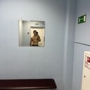 ���������� ����, ���� ����� ������, 25 ���, ������������ ��� ������, ����� � ���������