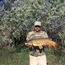 ���������� ����������, ���� ������� ������, 40 ���, ������������ ��� ������, ����� � ���������