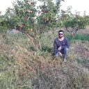 ,   Armen, 36 ,   ,   