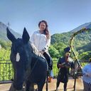 ���������� ������, ���� ������� �����, 49 ���, ������������ ��� c�������� ���������, ���������