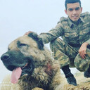  ,   Elvin, 30 ,   ,   , c , 