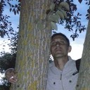  ,   , 49 ,   