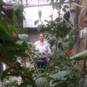 ���������� �������, ���� ������� ��������, 63 ����, ������������ 