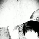 ���������� �������, ���� ������� �����, 31 ���, ������������ ��� ������, ����� � ���������, c�������� ���������, ���������