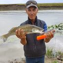  ,   , 59 ,   ,   