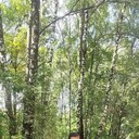 ���������� ������, ���� ������� � �����, 37 ���, ������������ ��� ������, ����� � ���������