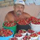  ,   , 75 ,  