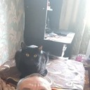 ���������� �������, ���� ������� ������ ����, 60 ���, ������������ ��� ������, ����� � ���������, c�������� ���������