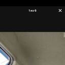  ,   Komol, 41 ,   ,   , c 