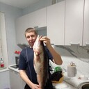 ���������� ������ ��������, ���� ������� �������, 44 ����, ������������ ��� ������, ����� � ���������