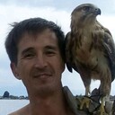 ���������� ������, ���� ������� �����, 48 ���, ������������ ��� c�������� ���������