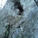 ���������� �����������, ���� ������� ������, 38 ���, ������������ ��� ������, ����� � ���������, c�������� ���������, ���������