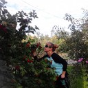 ���������� ������, ���� ������� �����, 44 ����, ������������ ��� ������, ����� � ���������, c�������� ���������