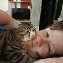  ,   , 43 ,   c 