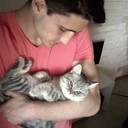  ,   , 33 ,   