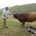 ���������� �������, ���� ������� �����, 55 ���, ������������ ��� ������, ����� � ���������, c�������� ���������