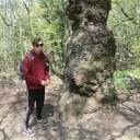 ���������� ������������, ���� ����� ���������, 24 ����, ������������ ��� ������, ����� � ���������