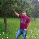  ,   Palik, 36 ,   ,   , c 