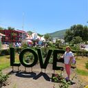  ,   Olga, 49 ,     , c 