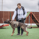 ���������� ���������, ���� ������� ��������, 34 ����, ������������ ��� ������, ����� � ���������, c�������� ���������, ���������