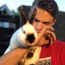 ���������� ����, ���� ����� ������, 23 ����, ������������ ��� ����� � ���������, c�������� ���������