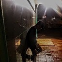 ���������� �����, ���� ����� ����, 24 ����, ������������ ��� ������, ����� � ���������, c�������� ���������