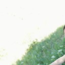 ���������� �������, ���� ������� Dostonchik, 34 ����, ������������ ��� ������, ����� � ���������, c�������� ���������