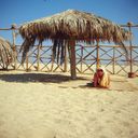 ���������� ���������, ���� ������� �argo, 36 ���, ������������ ��� ����� � ���������, c�������� ���������