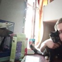 ���������� �������, ���� ������� ����������, 35 ���, ������������ ��� ������, ����� � ���������, ���������