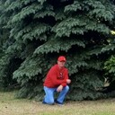  ,    , 57 ,     , c 