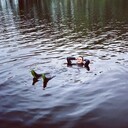 ���������� �����, ���� ����� ������, 24 ����, ������������ ��� ������, ����� � ���������, c�������� ���������