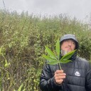 ���������� ������, ���� ������� Dmitrii, 26 ���, ������������ ��� ������, ����� � ���������