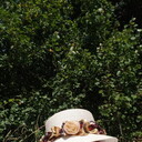 ���������� �����-���������, ���� ������� ����, 40 ���, ������������ ��� ������, ����� � ���������, c�������� ���������