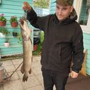  ,   Roman, 36 ,   ,   