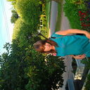  -,   Milahka, 40 ,   ,   , c 