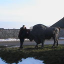 ���������� ���������, ���� ������� ���������, 46 ���, ������������ ��� ������, ����� � ���������, c�������� ���������