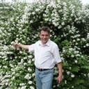  ,   , 53 ,     , c 