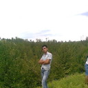 ���������� ������������, ���� ������� �����, 34 ����, ������������ 