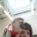 ���������� �������, ���� ������� ����, 36 ���, ������������ ��� ������, ����� � ���������, c�������� ���������