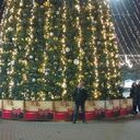 ���������� ����������, ���� ������� RECEB, 35 ���, ������������ ��� ������, ����� � ���������