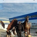 ���������� ������, ���� ������� �����������, 43 ����, ������������ ��� ������, ����� � ���������, c�������� ���������