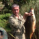  ,   , 50 ,   ,   , c 