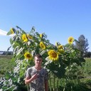 ���������� �����, ���� ������� ������, 36 ���, ������������ ��� ������, ����� � ���������, c�������� ���������