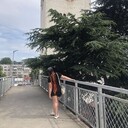  ,   , 19 ,   ,   , 