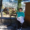  ,   , 55 ,   ,   , c 