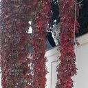  Soltvadkert,   Lubov, 58 ,   c 