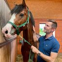 ���������� ������, ���� ������� ������, 41 ���, ������������ ��� ������, ����� � ���������, c�������� ���������, ���������