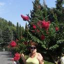  ,   , 68 ,     , c 