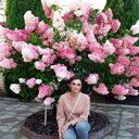 ���������� �����, ���� ������� �����, 54 ����, ������������ ��� ����� � ���������, c�������� ���������