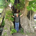  ,   Amran, 42 ,   ,   , 